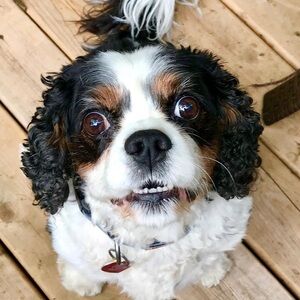 Meet your Posher, Sherry